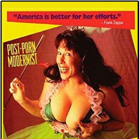 Post-Porn Modernist: My 25 Years as a Multimedia Whore