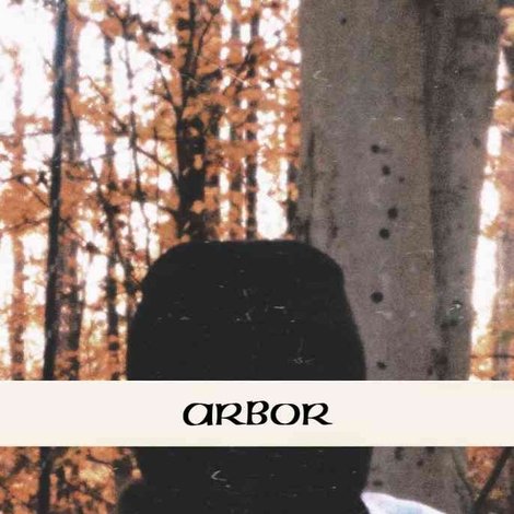 Arbor