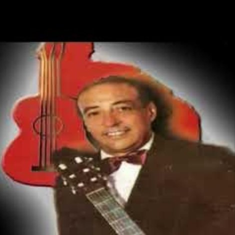 Mi sonora compañera