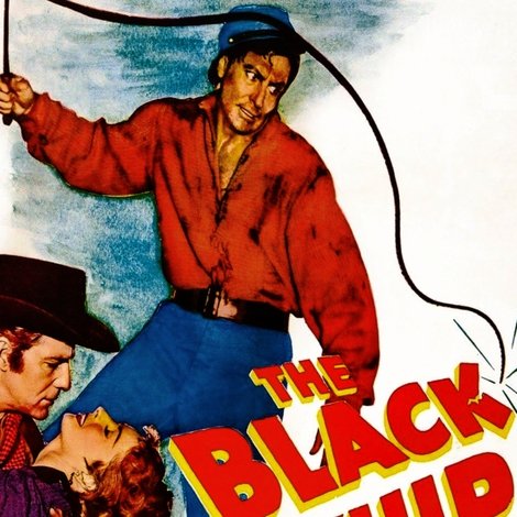 The Black Whip