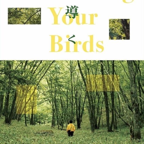 鳥を導く