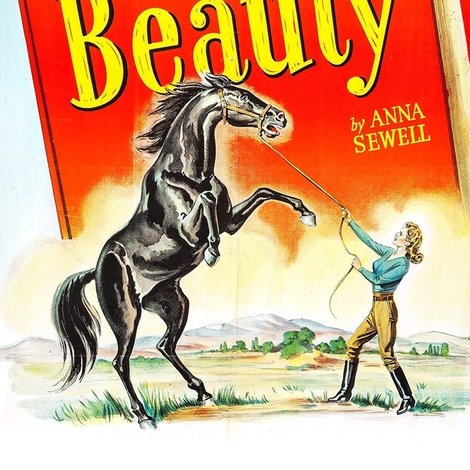 Black Beauty