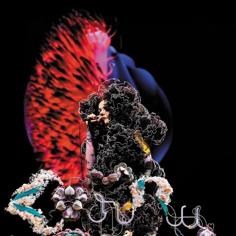 Björk: Cornucopia