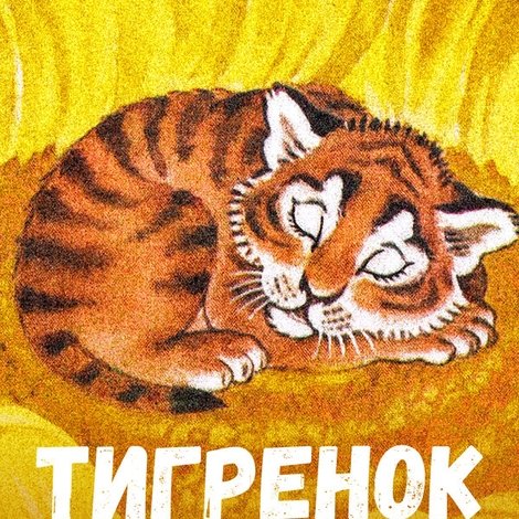 Тигрёнок на подсолнухе
