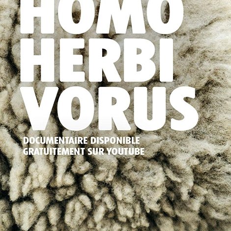 Homo Herbivorus