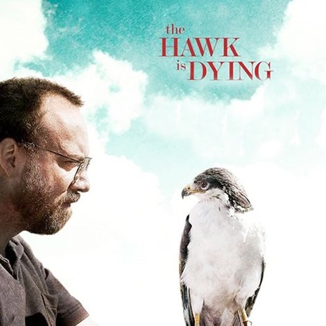 The Hawk Is Dying
