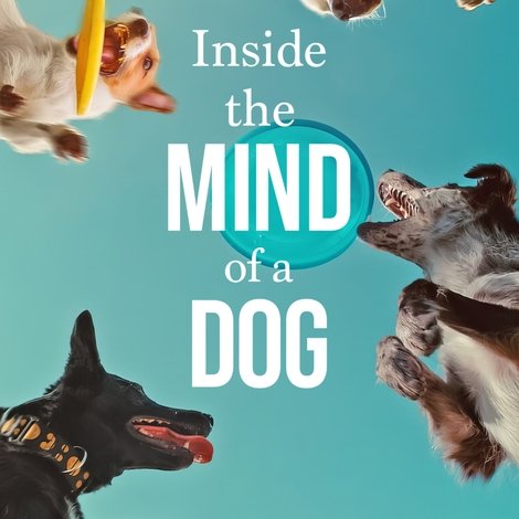 Inside the Mind of a Dog