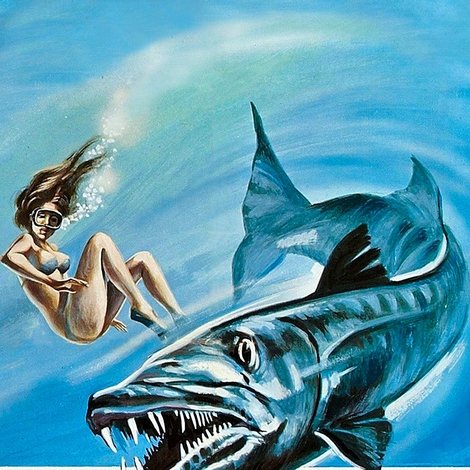 Barracuda