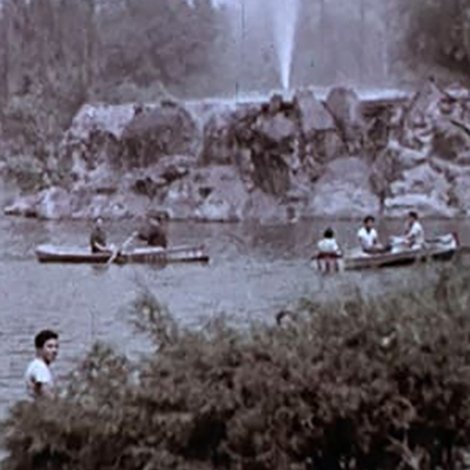 BOSQUE DE CHAPULTEPEC