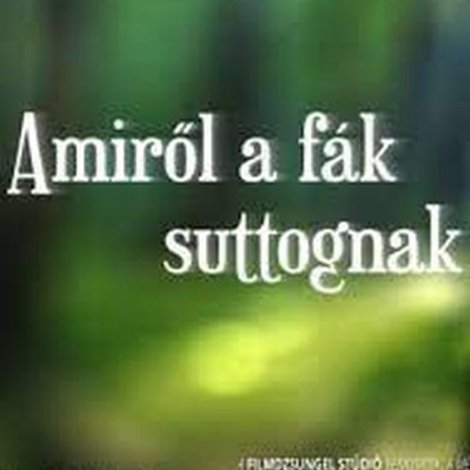 Amiről a fák suttognak