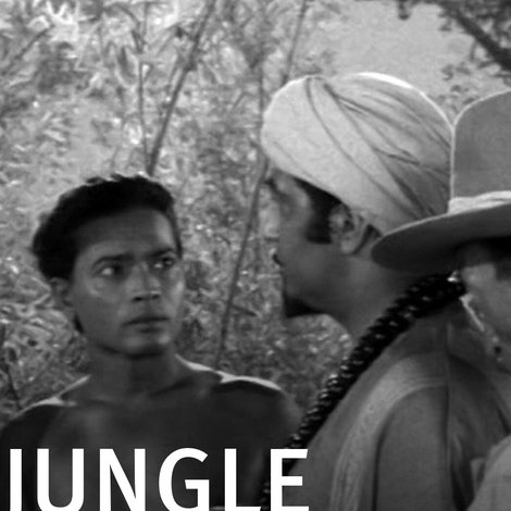 Jungle Hell