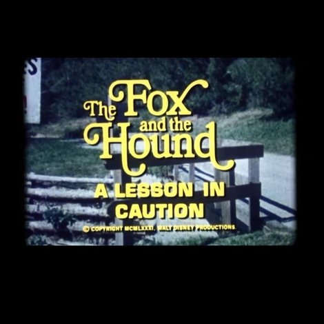 The Fox and the Hound: A Lesson in Caution