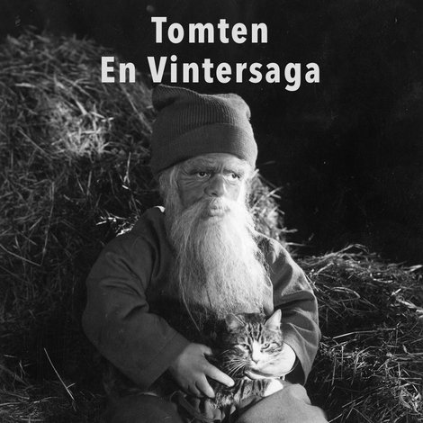 Tomten : En vintersaga av Gösta Roosling