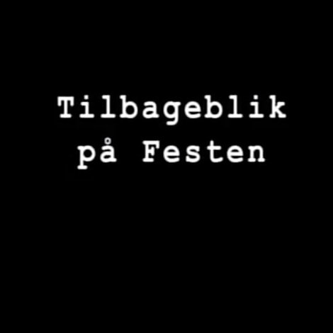 Tilbageblik på Festen