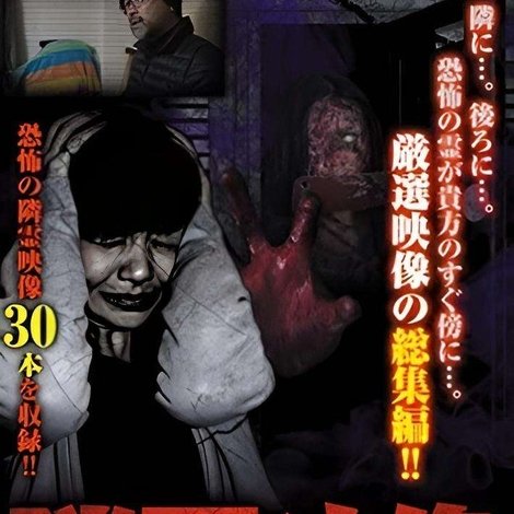 隣霊映像 厳選映像総集編30本 半径60cmの恐怖