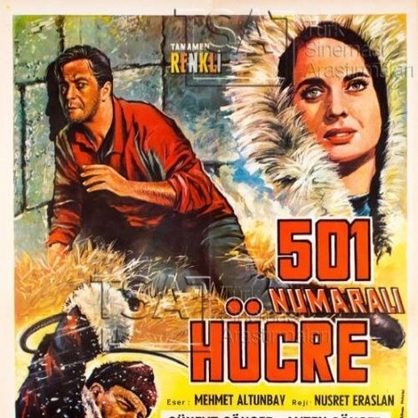 501 Numaralı Hücre