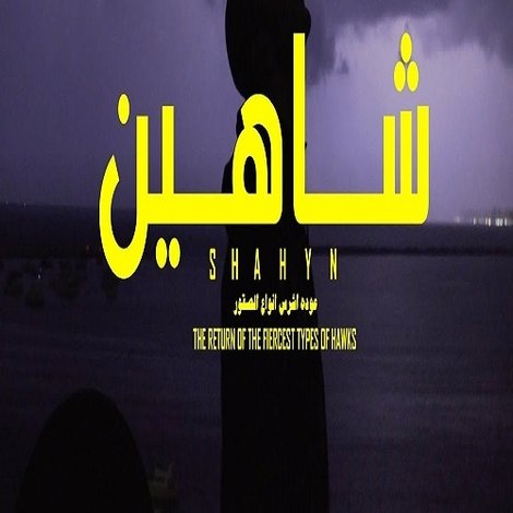 شاهين - عودة اشرس انواع الصقور