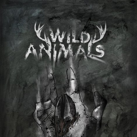 Wild Animals