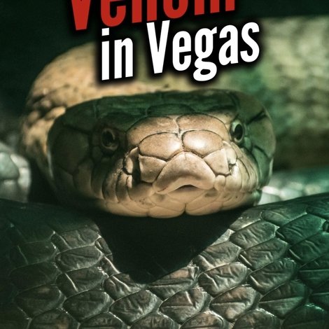 Venom In Vegas