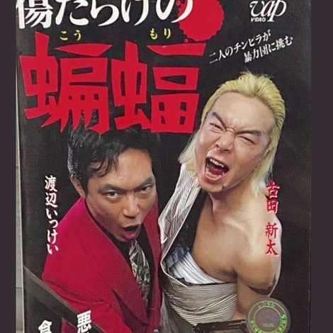 傷だらけの蝙蝠