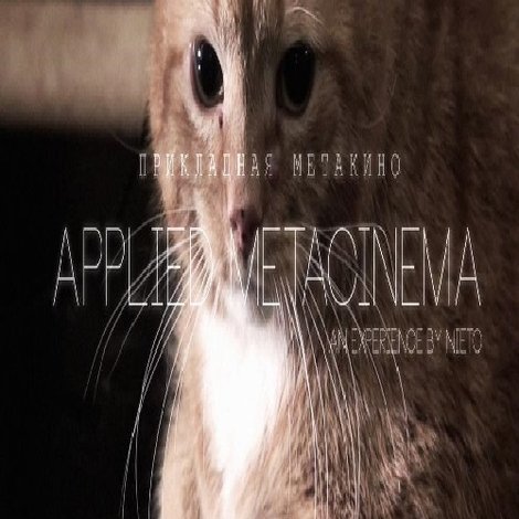 Metacinema appliqué