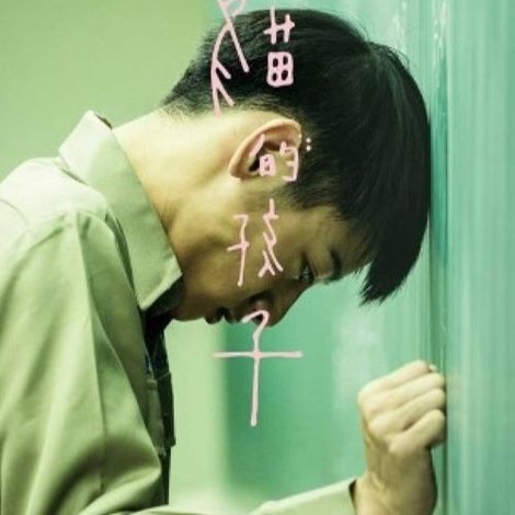 貓的孩子