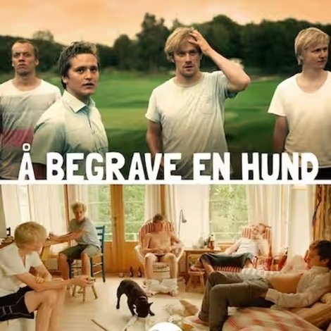 Å begrave en hund