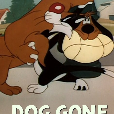 Doggone Cats