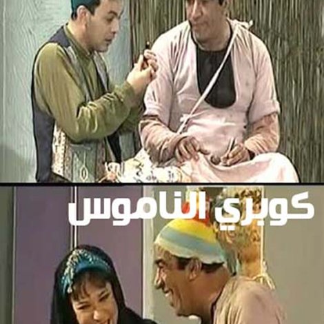 كوبري الناموس