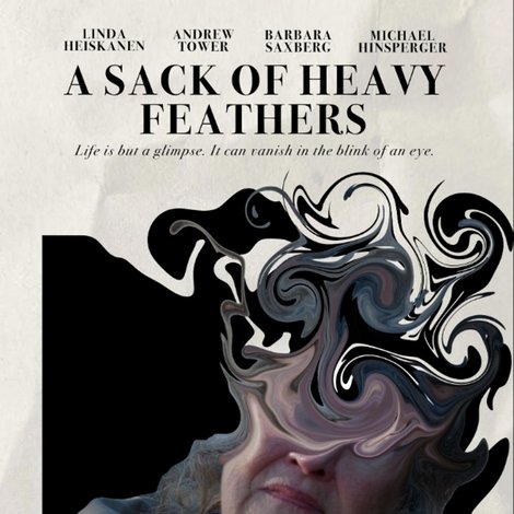 A Sack of Heavy Feathers