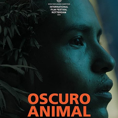 Oscuro animal
