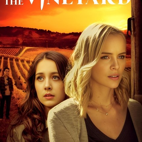Murder in the Vineyard