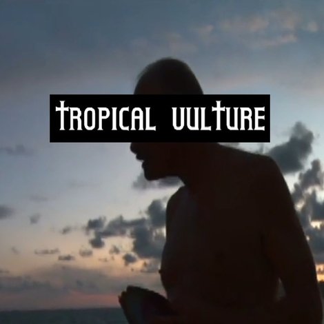 Tropical Vulture