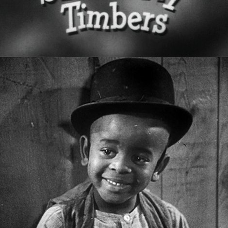 Shiver My Timbers