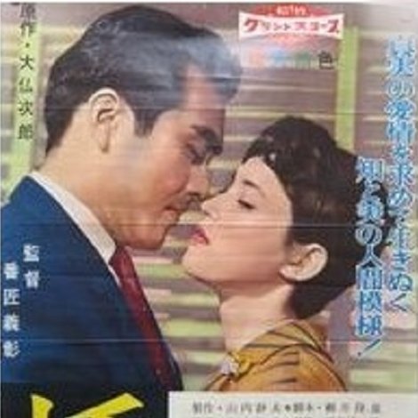 橋