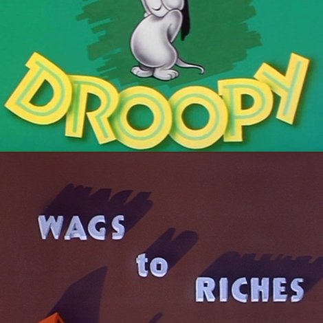 Wags to Riches