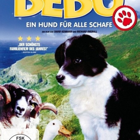 Mist: The Tale of a Sheepdog Puppy