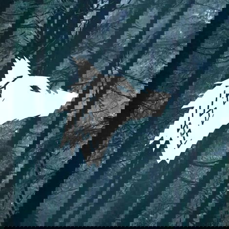 Among Wolves