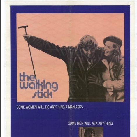 The Walking Stick