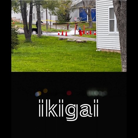 Ikigai