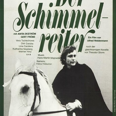 Der Schimmelreiter