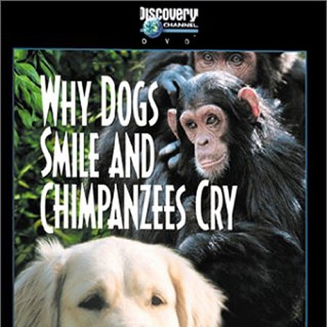 Why Dogs Smile and Chimpanzees Cry