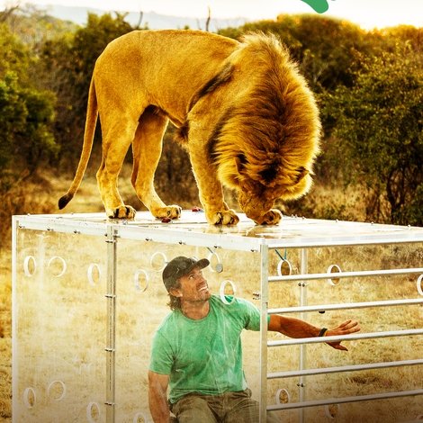 Man V. Lion