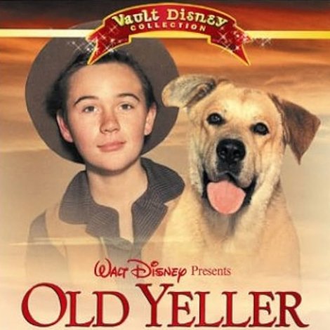 'Old Yeller': Remembering a Classic