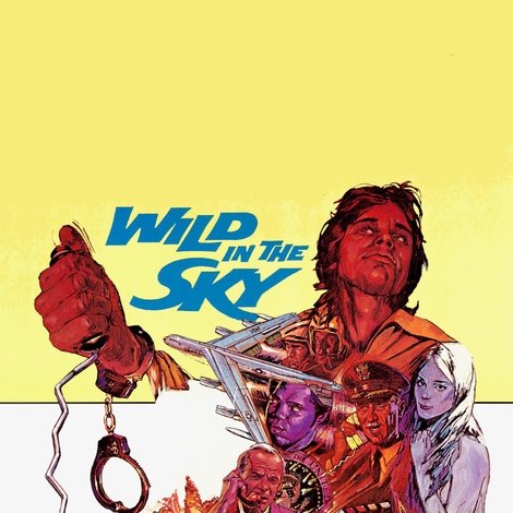 Wild in the Sky