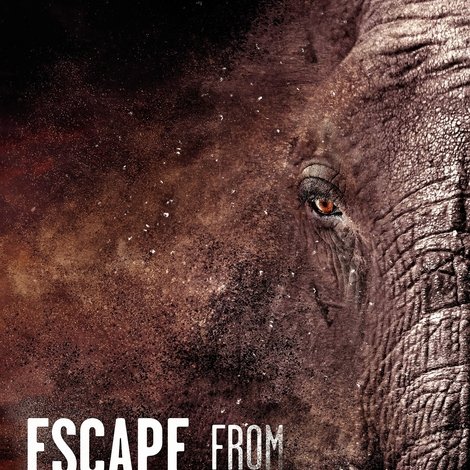 Escape from Extinction