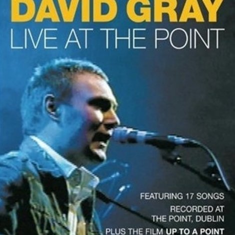 David Gray: Live at the Point