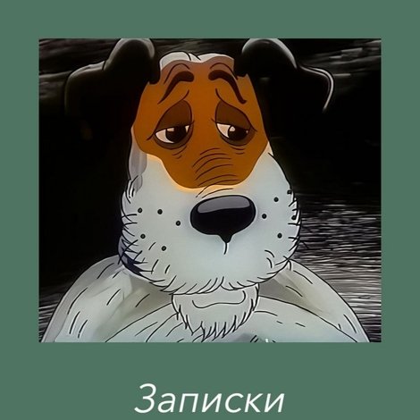 Записки Пирата