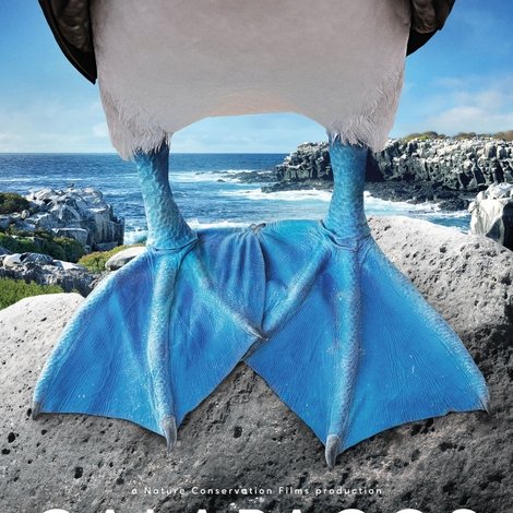 Galapagos: Hope for the Future