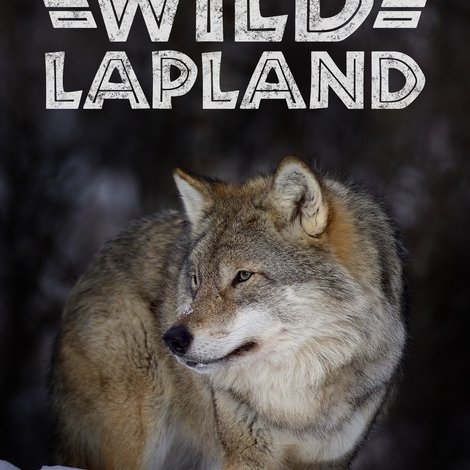 Wild Lapland